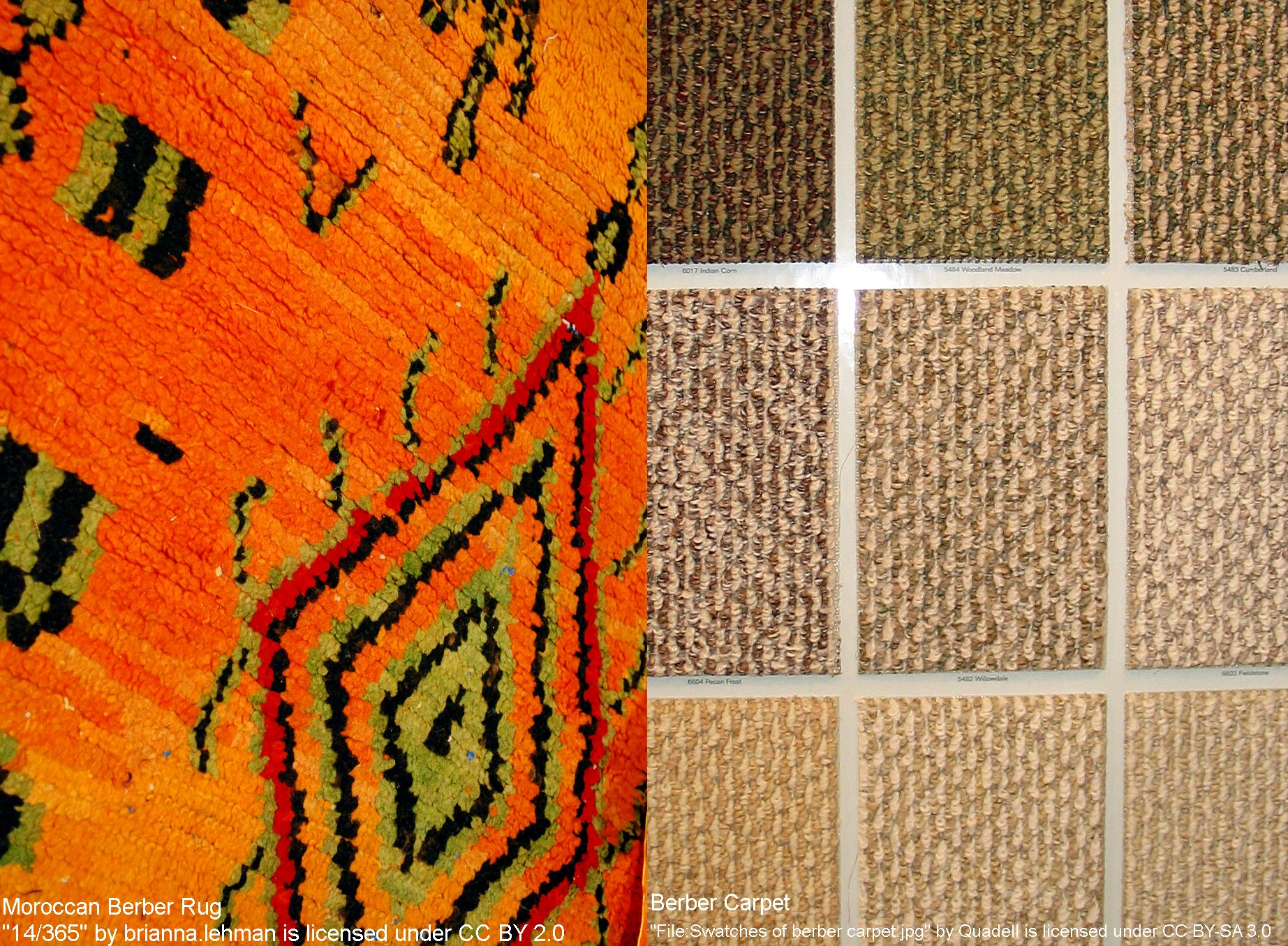 Choosing Between Moroccan Berber Rugs and Berber Carpets BerberDezign