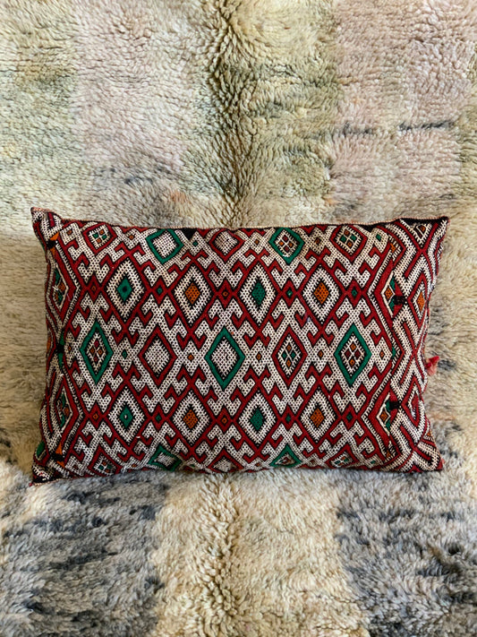 Fabulous Vintage berber cushion_C1014