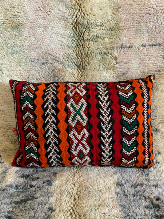 Fabulous Vintage berber cushion_C1014